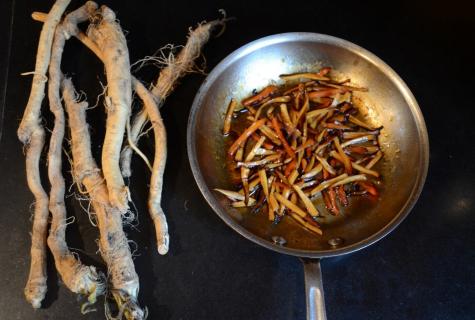 Burdock root: from what helps that treats when to collect how to make and accept